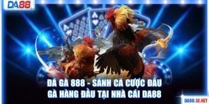 Đá gà 888